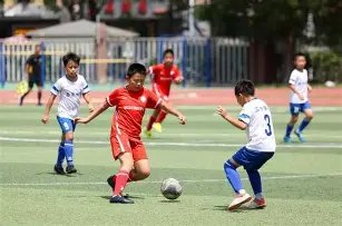 确认,我国三大电,信运营商全,胜利体育,彩票平台,在线投注,彩票预测,数据分析