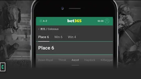 【世界杯盛宴彩金攻略大全：揭秘让球技巧与特色玩法】