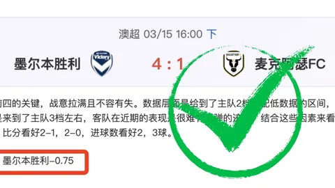 2025女子世界杯：西班牙国家队简介